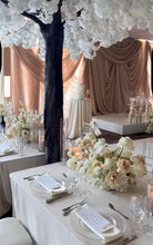 Load image into Gallery viewer, Arctic